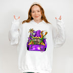 Mardi Gras Truck Back Gnome Theme T-shirt, Hoodie, Sweatshirt