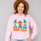 100 Days With My Gnomes Theme T-shirt, Hoodie, Sweatshirt