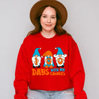 100 Days With My Gnomes Theme T-shirt, Hoodie, Sweatshirt