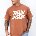 Train Insane - GYM Unisex Crewneck T-Shirt Sweatshirt Hoodie