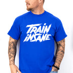 Train Insane - GYM Unisex Crewneck T-Shirt Sweatshirt Hoodie