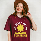I'm Just A Ray Of Sarcastic Sunshine - Funny Unisex Crewneck T-Shirt Sweatshirt Hoodie