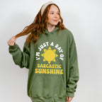 I'm Just A Ray Of Sarcastic Sunshine - Funny Unisex Crewneck T-Shirt Sweatshirt Hoodie