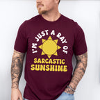 I'm Just A Ray Of Sarcastic Sunshine - Funny Unisex Crewneck T-Shirt Sweatshirt Hoodie