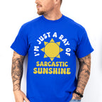 I'm Just A Ray Of Sarcastic Sunshine - Funny Unisex Crewneck T-Shirt Sweatshirt Hoodie