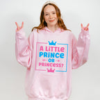 A Little Prince Or Princess - Gender Reveal Unisex Crewneck T-Shirt Sweatshirt Hoodie