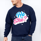 He Or She Blue And Pink Design - Gender Reveal Unisex Crewneck T-Shirt Sweatshirt Hoodie
