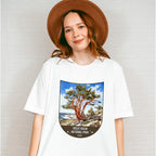 Great Basin National Park Nevada - National Parks Unisex Crewneck T-Shirt Sweatshirt Hoodie