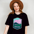 Capitol Reef National Park Colorful Design - National Parks Unisex Crewneck T-Shirt Sweatshirt Hoodie