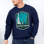 Carlsbad Caverns National Park Colorful Design - National Parks Unisex Crewneck T-Shirt Sweatshirt Hoodie
