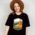 Petrified Forest National Park Colorful Design - National Parks Unisex Crewneck T-Shirt Sweatshirt Hoodie