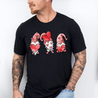 Valentine Gnomes Valentines Theme T-shirt, Hoodie, Sweatshirt