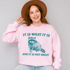It Is What It Is Fun Theme Unisex Crewneck T-Shirt Sweatshirt Hoodie