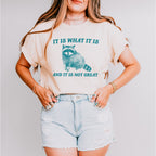 It Is What It Is Fun Theme Unisex Crewneck T-Shirt Sweatshirt Hoodie