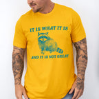 It Is What It Is Fun Theme Unisex Crewneck T-Shirt Sweatshirt Hoodie