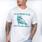 It Is What It Is Fun Theme Unisex Crewneck T-Shirt Sweatshirt Hoodie