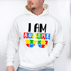 I am Ausome, Autism Theme T-shirt, Hoodie, Sweatshirt