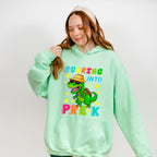 Roaring Into REX Pre-k Design - Pre-K Unisex Crewneck T-Shirt Sweatshirt Hoodie