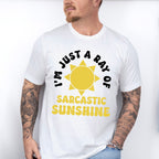I'm Just A Ray Of Sarcastic Sunshine - Funny Unisex Crewneck T-Shirt Sweatshirt Hoodie