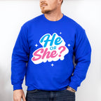 He Or She Blue And Pink Design - Gender Reveal Unisex Crewneck T-Shirt Sweatshirt Hoodie