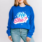He Or She Blue And Pink Design - Gender Reveal Unisex Crewneck T-Shirt Sweatshirt Hoodie
