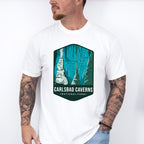 Carlsbad Caverns National Park Colorful Design - National Parks Unisex Crewneck T-Shirt Sweatshirt Hoodie