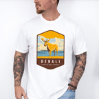 Denali National Park Colorful Design - National Parks Unisex Crewneck T-Shirt Sweatshirt Hoodie