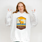 Denali National Park Colorful Design - National Parks Unisex Crewneck T-Shirt Sweatshirt Hoodie