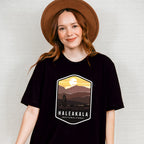 Haleakala National Park Colorful Design - National Parks Unisex Crewneck T-Shirt Sweatshirt Hoodie