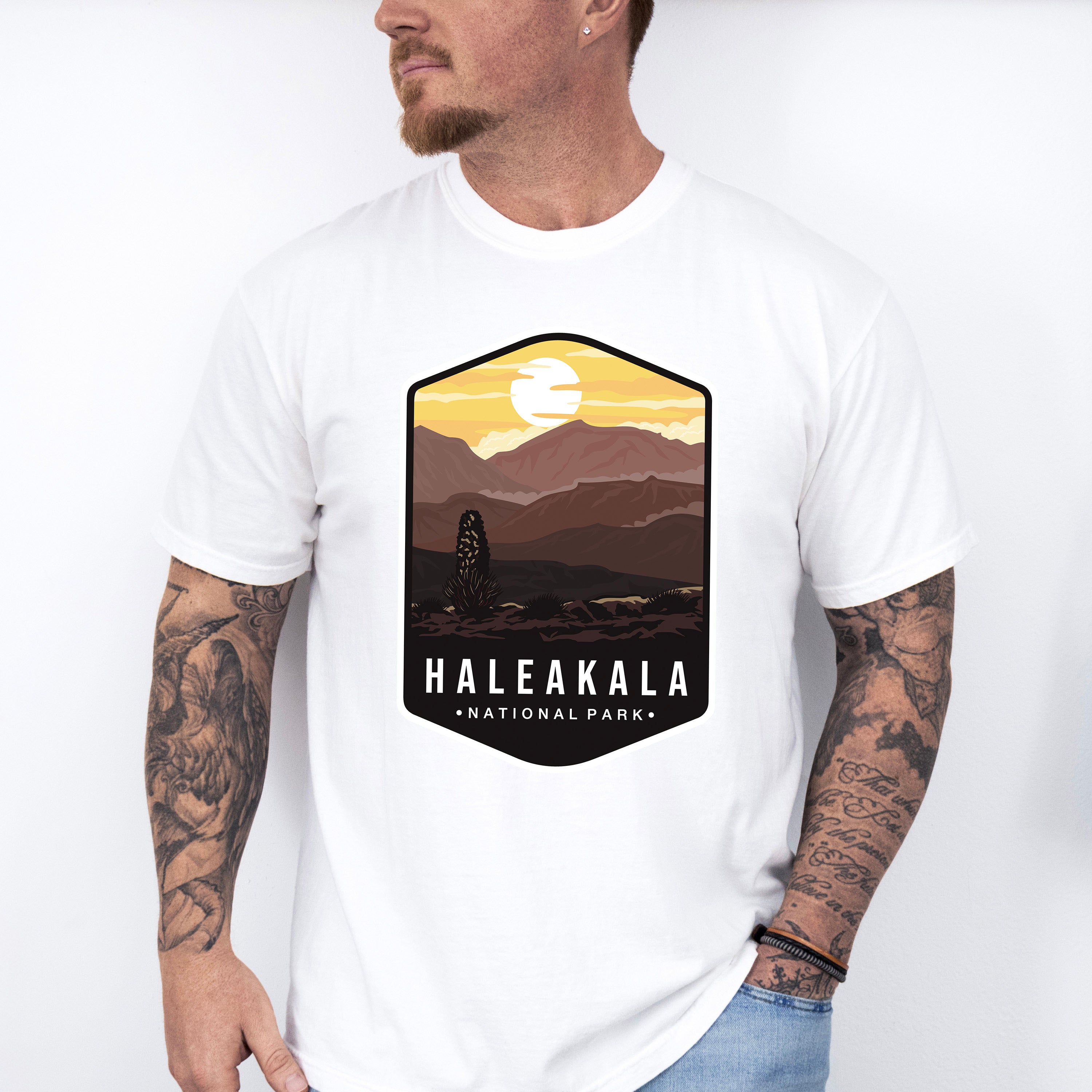 Haleakala National Park Colorful Design - National Parks Unisex Crewneck T-Shirt Sweatshirt Hoodie