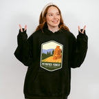 Petrified Forest National Park Colorful Design - National Parks Unisex Crewneck T-Shirt Sweatshirt Hoodie