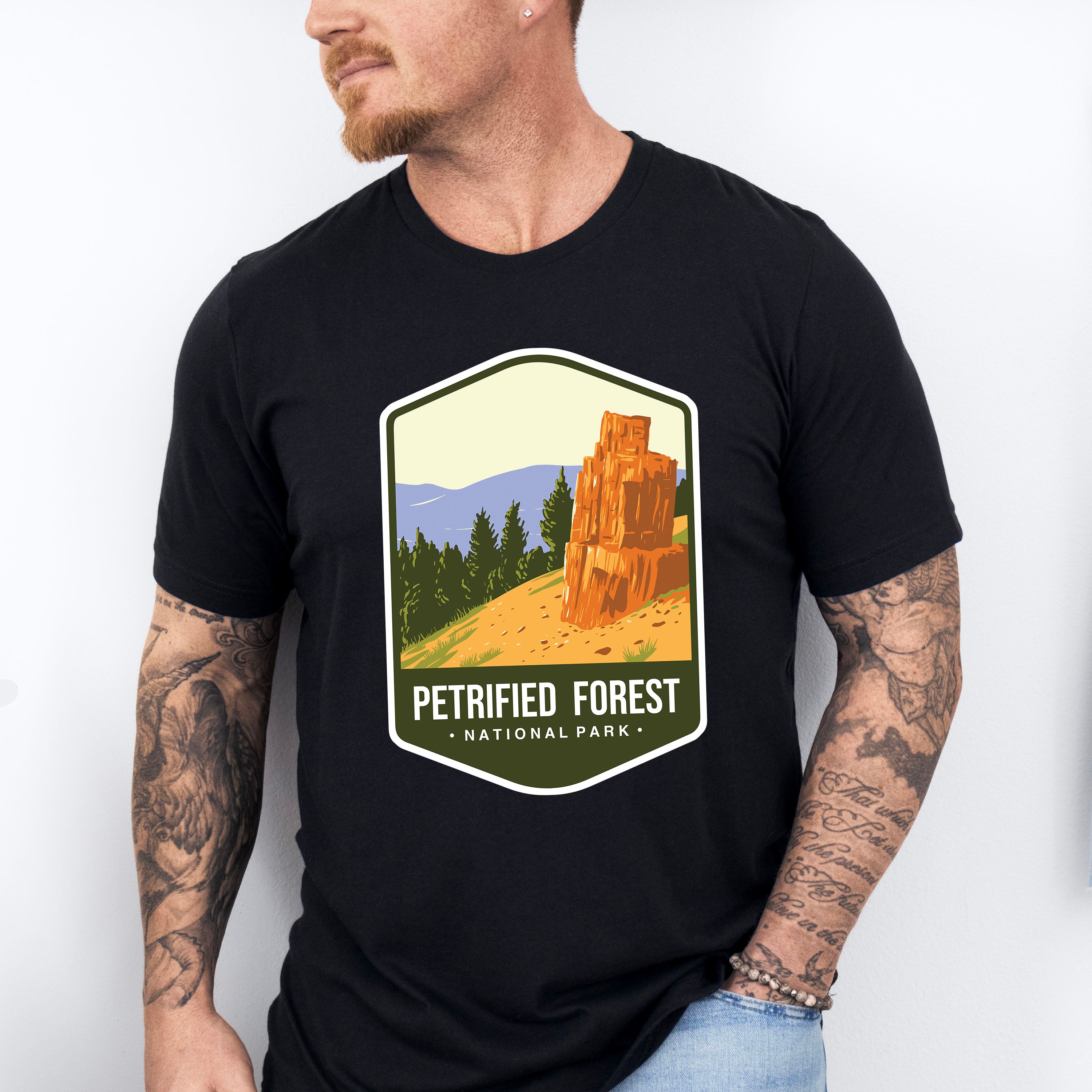Petrified Forest National Park Colorful Design - National Parks Unisex Crewneck T-Shirt Sweatshirt Hoodie