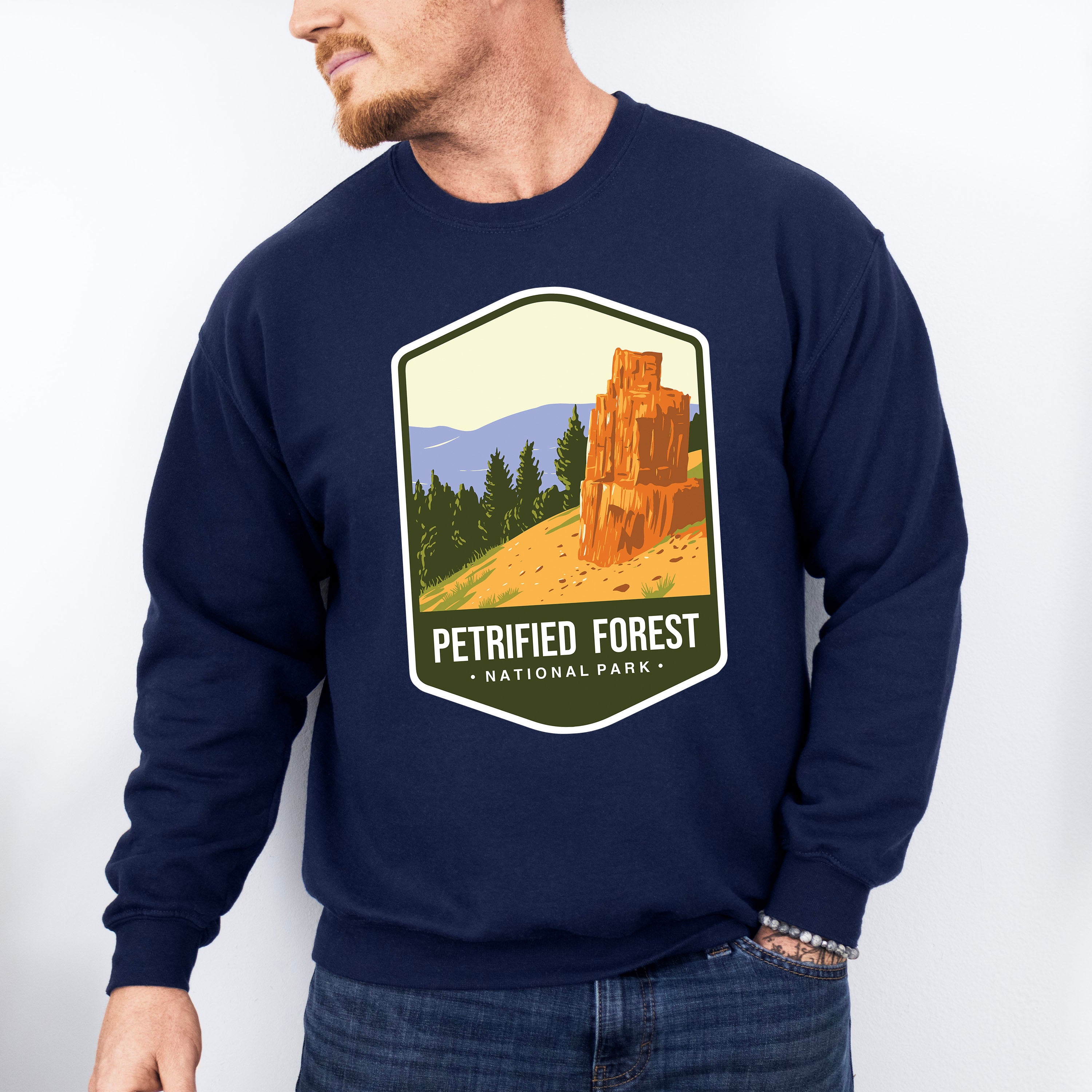 Petrified Forest National Park Colorful Design - National Parks Unisex Crewneck T-Shirt Sweatshirt Hoodie
