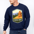 Petrified Forest National Park Colorful Design - National Parks Unisex Crewneck T-Shirt Sweatshirt Hoodie