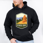 Petrified Forest National Park Colorful Design - National Parks Unisex Crewneck T-Shirt Sweatshirt Hoodie