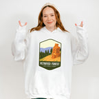 Petrified Forest National Park Colorful Design - National Parks Unisex Crewneck T-Shirt Sweatshirt Hoodie