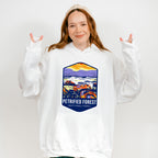 Petrified Forest National Park Blue Design - National Parks Unisex Crewneck T-Shirt Sweatshirt Hoodie