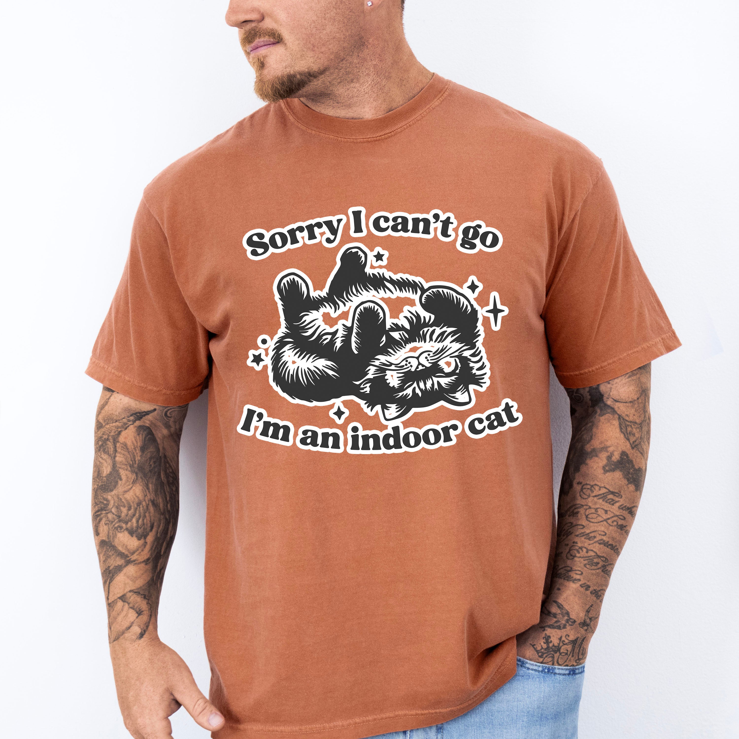 Sorry I Can't Go I'm An Indoor Cat - Cat Unisex Crewneck T-Shirt Sweatshirt Hoodie