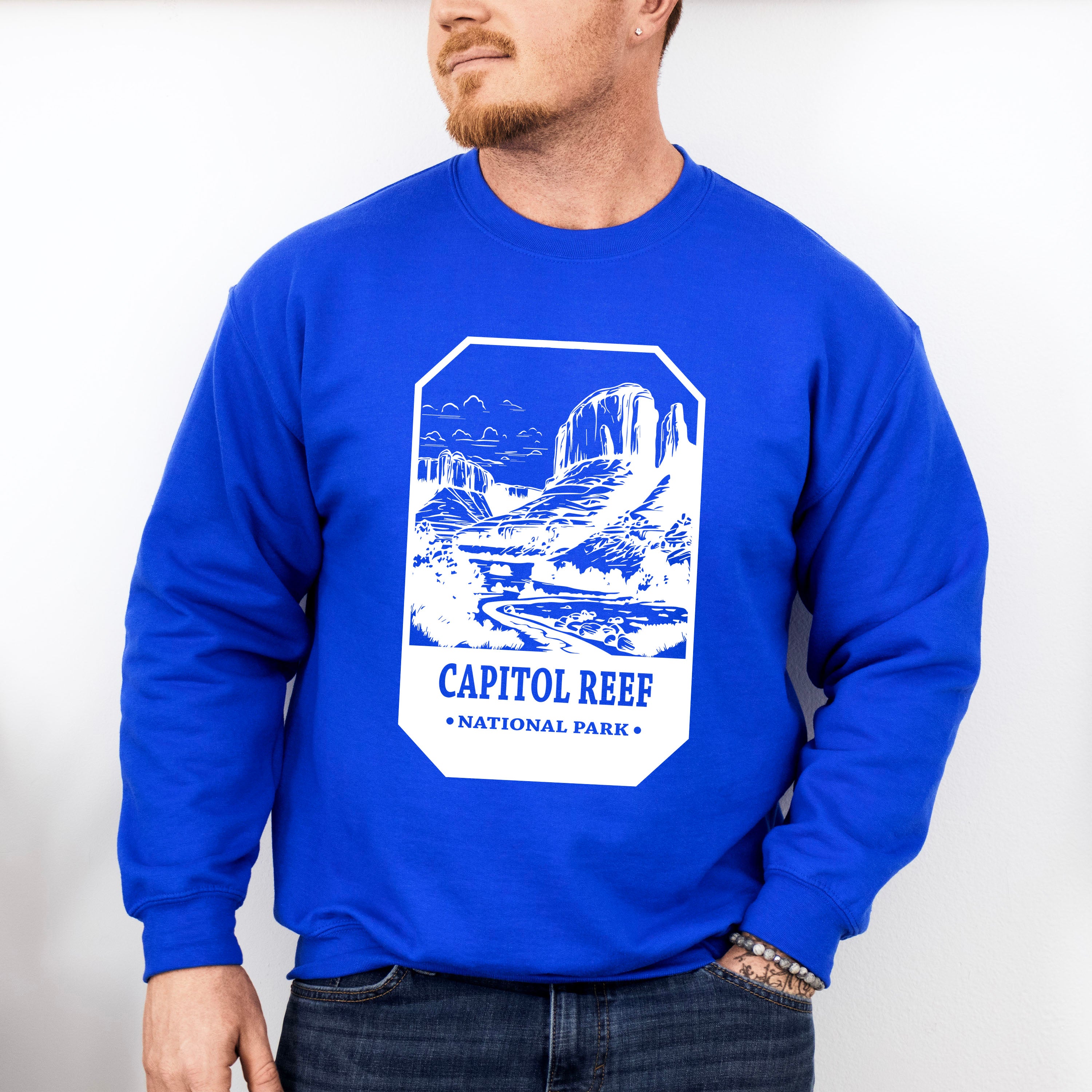 Capitol Reef - National Park Theme Unisex Crewneck T-Shirt Sweatshirt Hoodie