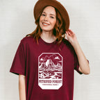 Petrified Forest - National Park Theme Unisex Crewneck T-Shirt Sweatshirt Hoodie