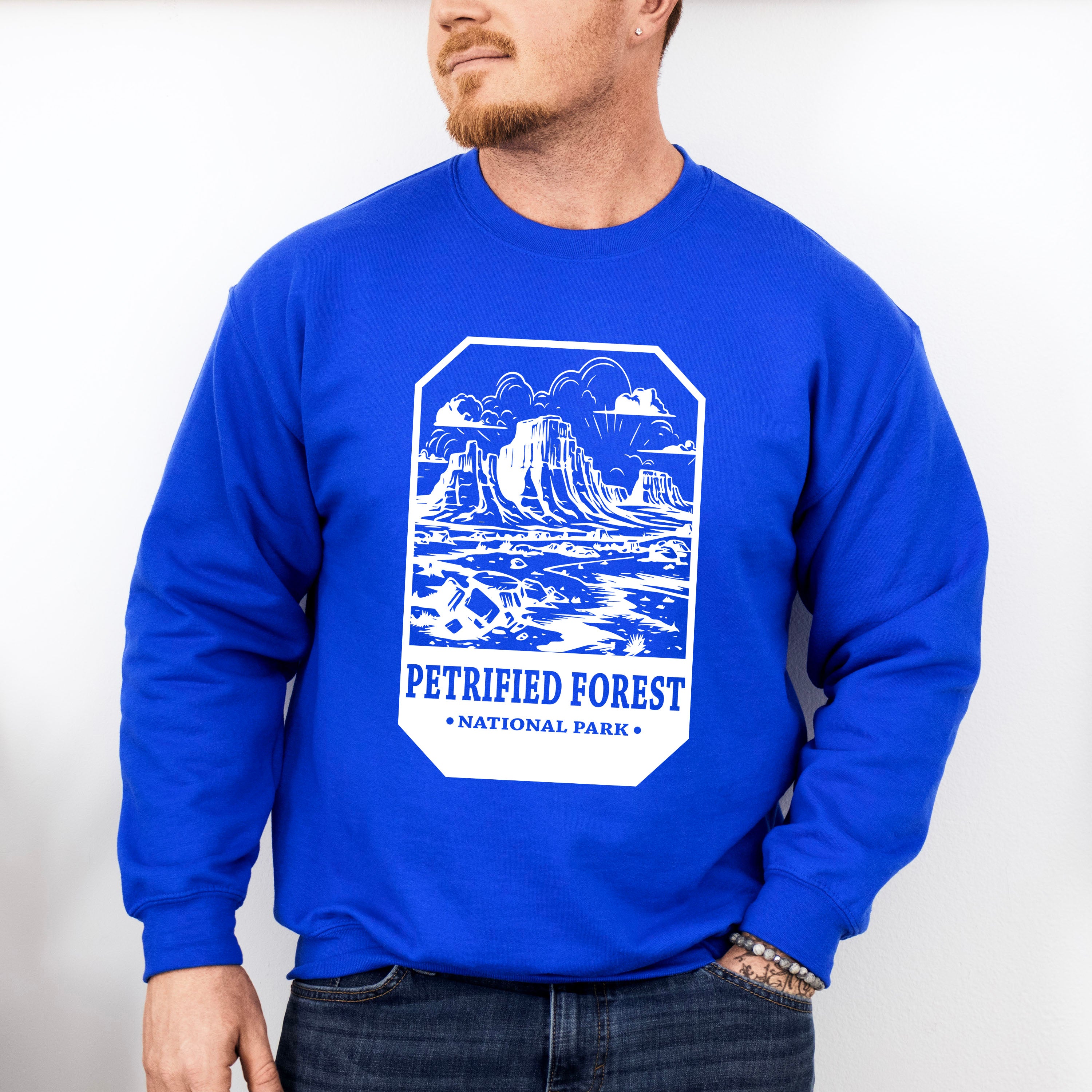 Petrified Forest - National Park Theme Unisex Crewneck T-Shirt Sweatshirt Hoodie