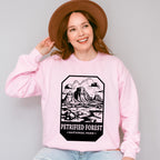 Petrified Forest - National Park Theme Unisex Crewneck T-Shirt Sweatshirt Hoodie