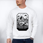Petrified Forest - National Park Theme Unisex Crewneck T-Shirt Sweatshirt Hoodie