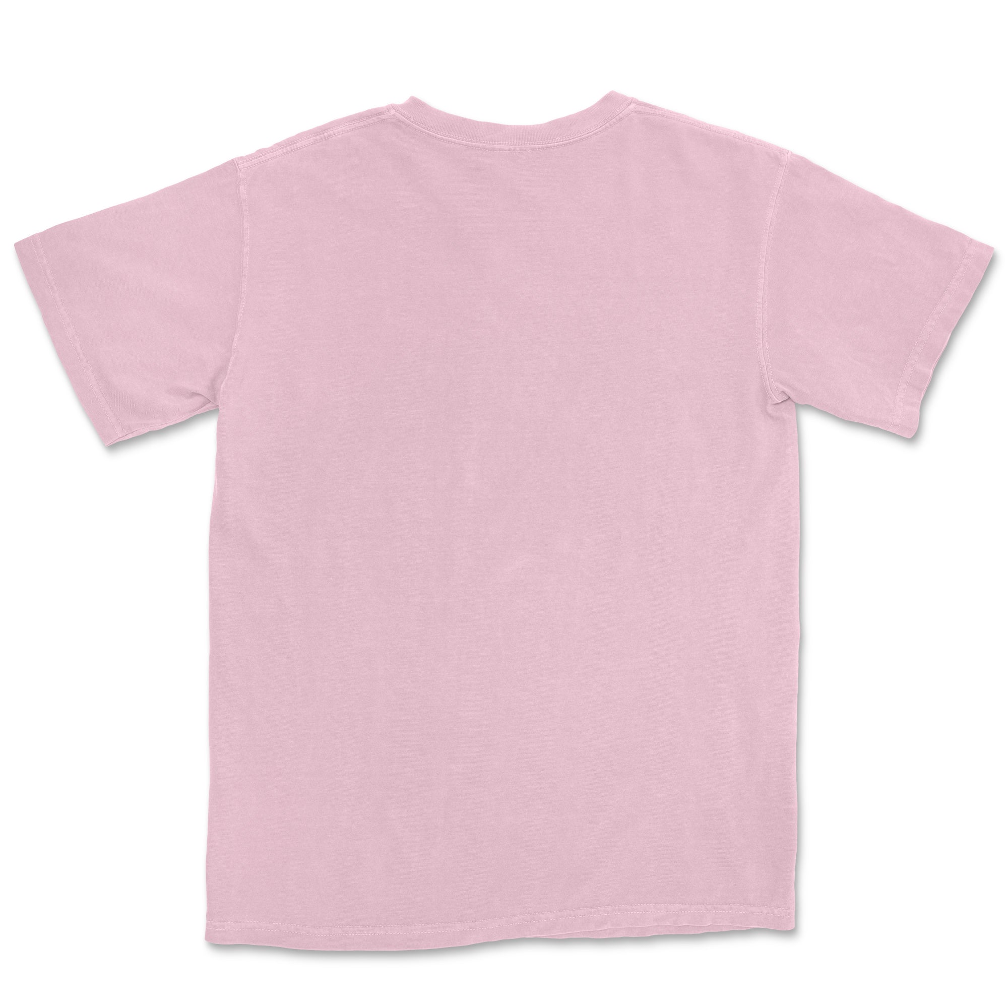 Comfort Colors Adult T-Shirt TEST