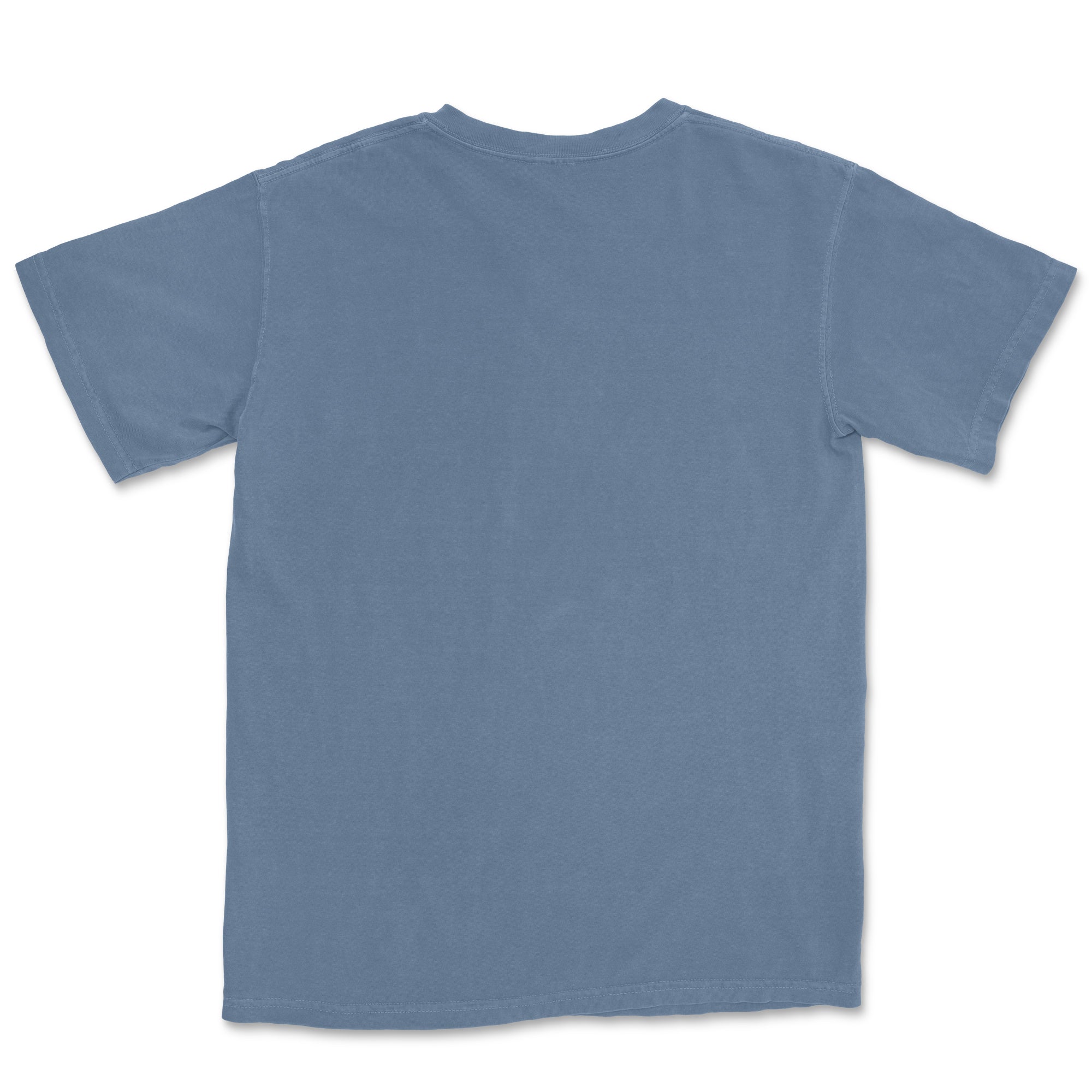 Comfort Colors Adult T-Shirt TEST