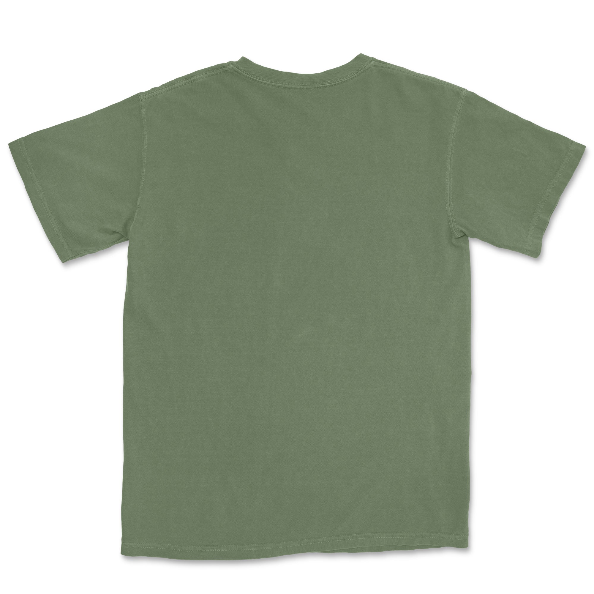 Comfort Colors Adult T-Shirt TEST