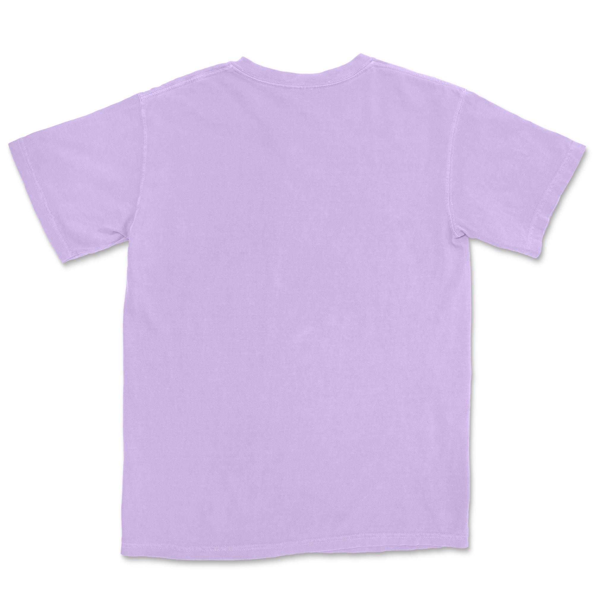 Comfort Colors Adult T-Shirt TEST
