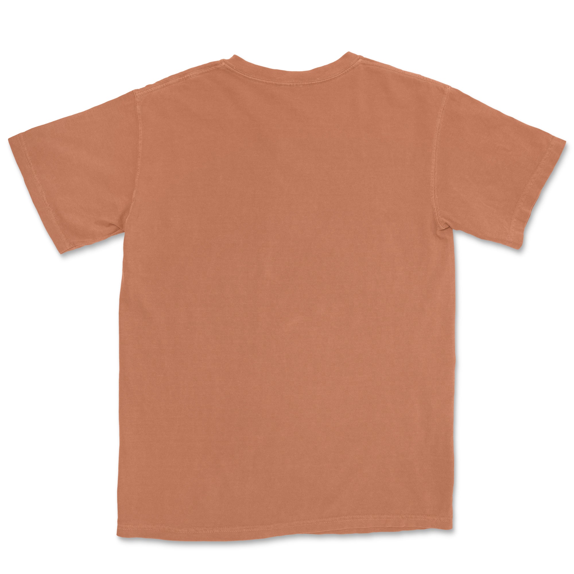 Comfort Colors Adult T-Shirt TEST