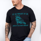 It Is What It Is Fun Theme Unisex Crewneck T-Shirt Sweatshirt Hoodie