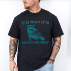 It Is What It Is Fun Theme Unisex Crewneck T-Shirt Sweatshirt Hoodie